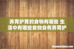 养胃护胃的食物有哪些 生活中有哪些食物会有养胃护胃功效