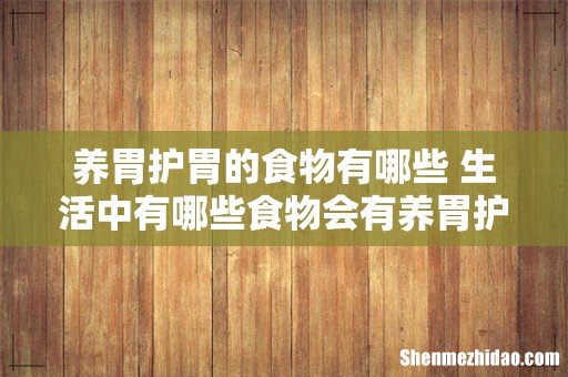 养胃护胃的食物有哪些 生活中有哪些食物会有养胃护胃功效