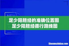 足少阳胆经的准确位置图 足少阳胆经循行路线图