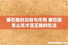 番石榴的功效与作用 番石榴怎么吃才是正确的吃法