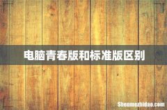 电脑青春版和标准版区别
