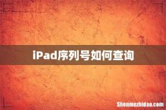iPad序列号如何查询