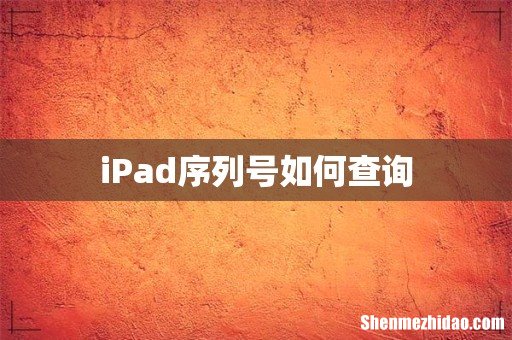 iPad序列号如何查询
