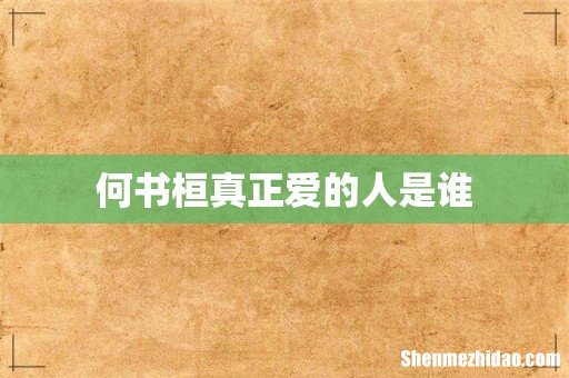 何书桓真正爱的人是谁
