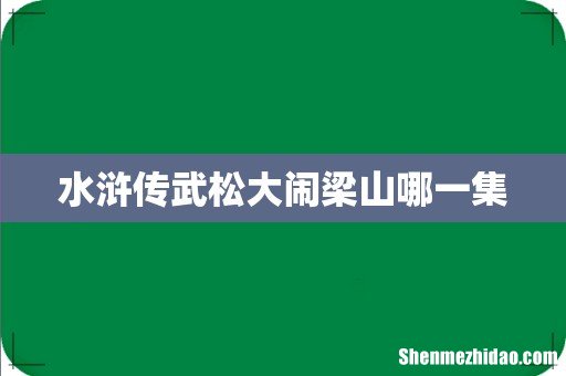 水浒传武松大闹梁山哪一集