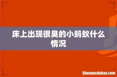 床上出现很臭的小蚂蚁什么情况
