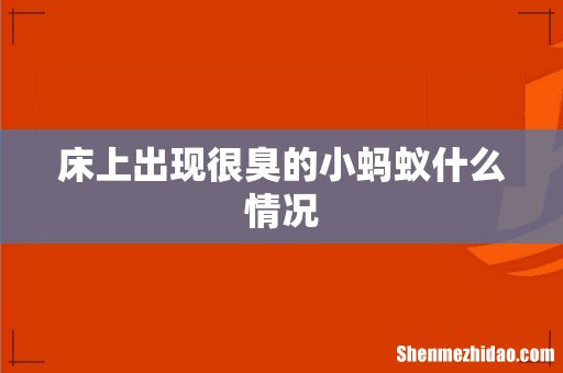 床上出现很臭的小蚂蚁什么情况