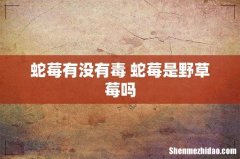 蛇莓有没有毒 蛇莓是野草莓吗