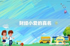 财经小爱的真名