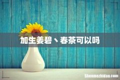 加生姜碧丶春茶可以吗