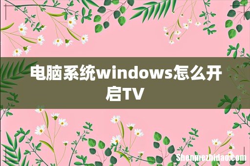 电脑系统windows怎么开启TV