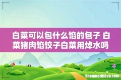 白菜可以包什么馅的包子 白菜猪肉馅饺子白菜用焯水吗
