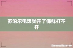 苏泊尔电饭煲开了保鲜打不开