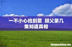 一不小心捡到爱顾父第几集知道真相