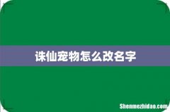诛仙宠物怎么改名字
