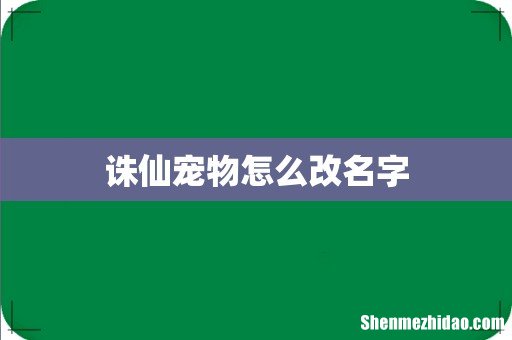 诛仙宠物怎么改名字