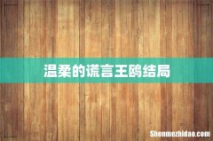 温柔的谎言王鸥结局