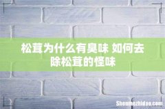 松茸为什么有臭味 如何去除松茸的怪味