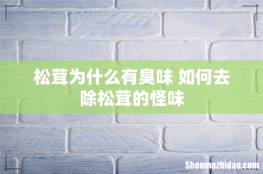 松茸为什么有臭味 如何去除松茸的怪味