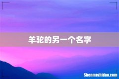羊驼的另一个名字