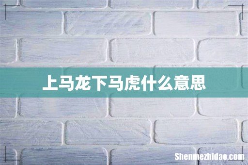 上马龙下马虎什么意思