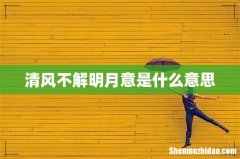 清风不解明月意是什么意思