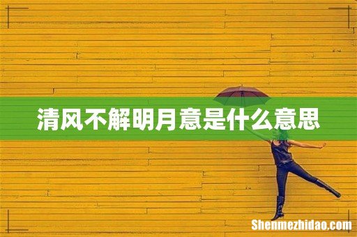 清风不解明月意是什么意思