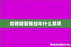 如若朝暮懂经年什么意思