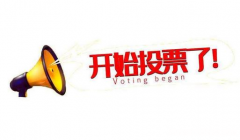 人工投票多少一票价格多少钱一票