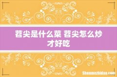 苕尖是什么菜 苕尖怎么炒才好吃