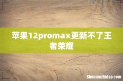 苹果12promax更新不了王者荣耀