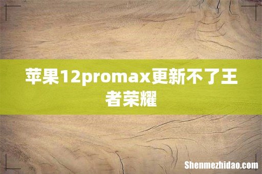 苹果12promax更新不了王者荣耀