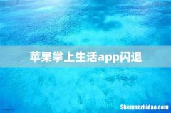 苹果掌上生活app闪退