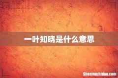 一叶知晓是什么意思