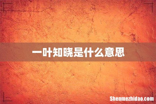 一叶知晓是什么意思