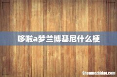 哆啦a梦兰博基尼什么梗