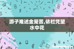 游子难述金笼苦,依栏凭望水中花