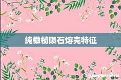 纯橄榄陨石熔壳特征