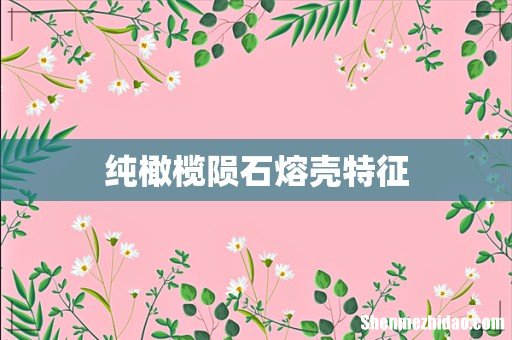 纯橄榄陨石熔壳特征