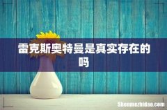 雷克斯奥特曼是真实存在的吗