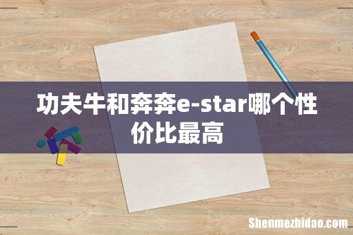 功夫牛和奔奔e-star哪个性价比最高