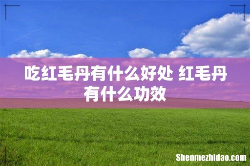 吃红毛丹有什么好处 红毛丹有什么功效
