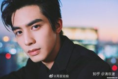 宋威龙为什么火了起来 宋威龙为什么长得那么成熟