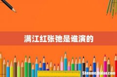 满江红张弛是谁演的