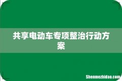 共享电动车专项整治行动方案