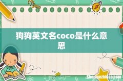 狗狗英文名coco是什么意思