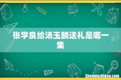 张学良给汤玉麟送礼是哪一集