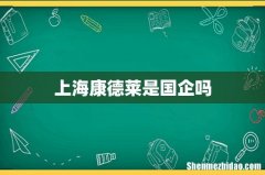 上海康德莱是国企吗