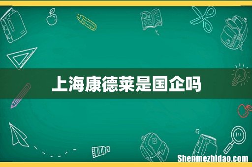 上海康德莱是国企吗