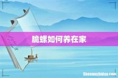 脆螺如何养在家
